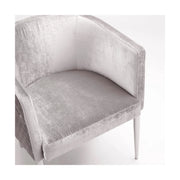 Grey Velvet Accent Chair #108200