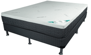 9'' Memory Foam Super Soft Mattress- Beauty Sleep