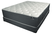 14'' Pocket Coil with Latex Foam Top Firm Mattress- Royal Sleep
