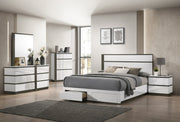 Two Tone Lacquer Finish Modern Storage Bedroom Set with Drawers #112260S