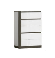 Two Tone Lacquer Finish Modern Storage Bedroom Set with Drawers #112260S