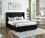 Fabric Wing Bed with Button Tufted Headboard with Chrome Legs- Black Color #175329