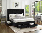 Velvet Wing Bed with Button Tufted Headboard with Chrome Legs- Black Color #175323