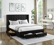 Fabric Wing Bed with Button Tufted Headboard with Chrome Legs- Black Color #175329