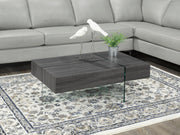 Coffee Table with Storages on Side- Grey Color